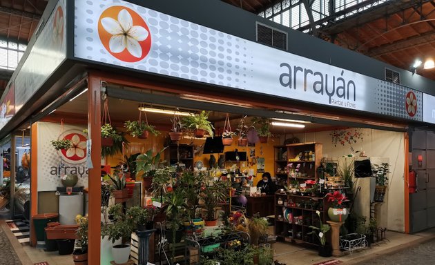 Foto de Arrayan Plantas