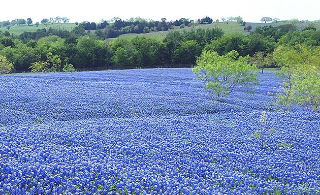 Photo of Texas Oncology-Houston Memorial City