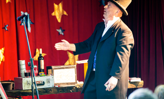Photo of The Professor Palmermoff Magic Show