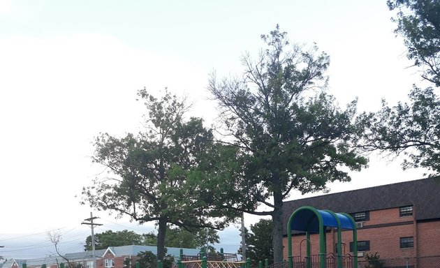 Photo of Tall Oak Playground