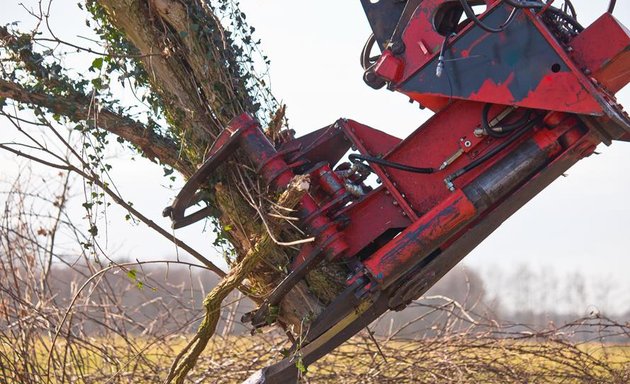 Photo of Bronx Tree Care