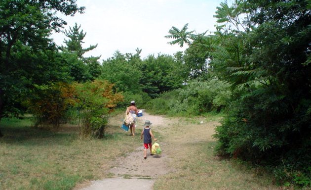 Photo of Coney Island Creek Park
