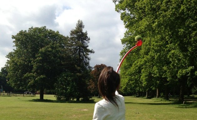 Photo of Southampton Common