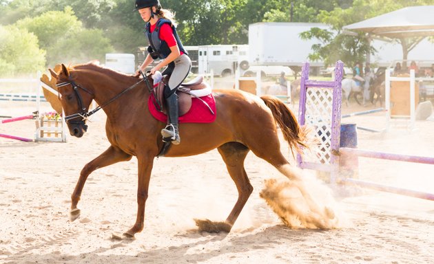 Photo of Turkey Creek Stables Inc