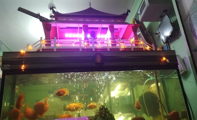 Photo of Sri Yashas Aquariums