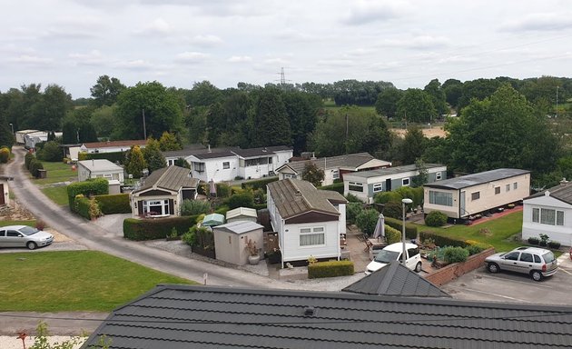 Photo of Warrington Tree & Stump Removals/warrington Tree Surgeon