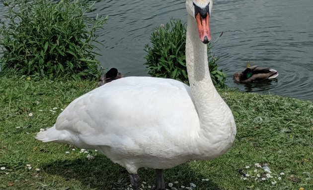 Photo of Derwenthorpe Childrens Park