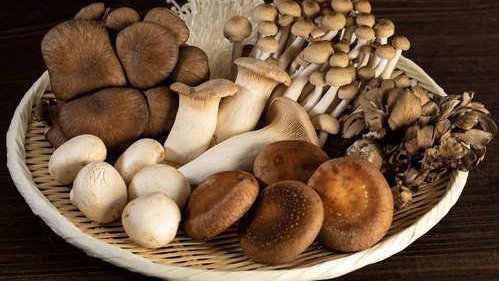 Photo of Jai Maruthi Mushroom