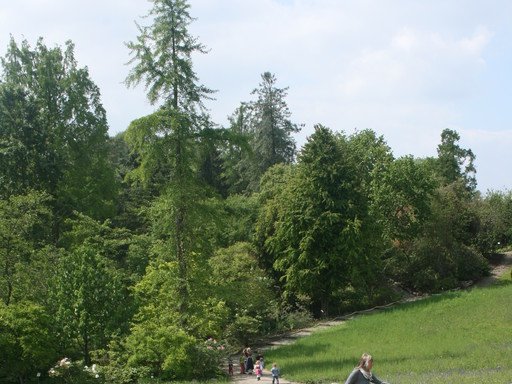 Foto von Kinderladen Sieglinde: Kita Friedenau