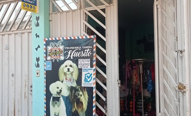 Foto de peluquería canina & pet shop huesito