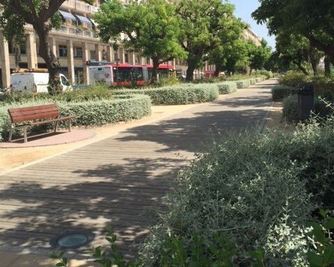 Foto de Gecotex | Agente de Aduanas en Valencia