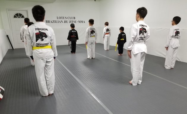 Photo of Lotus Jiu jitsu Flushing