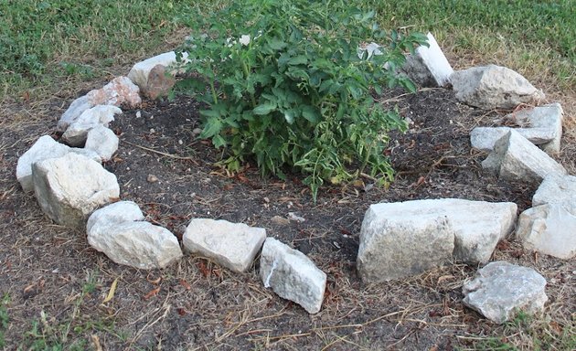 Photo of Lakeview Community Garden