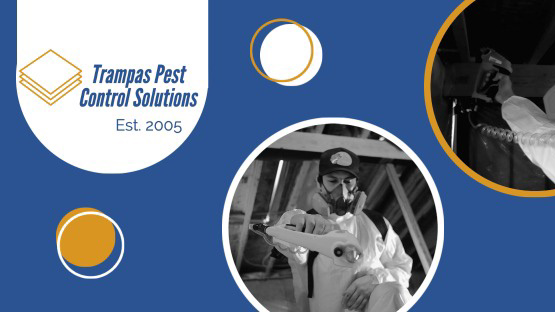Photo of Trampas Pest Control Solution Inc.