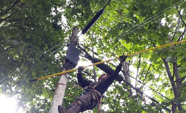 Photo of Émondage JL, Au Service Des Arbres