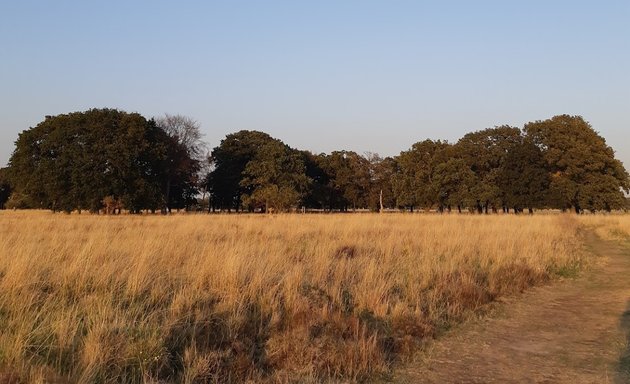 Photo of Centre Road Car Park, Wanstead Flats