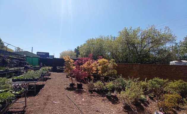 Photo of Earlscourt Market Garden