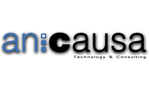 Foto von aniCausa - Technology & Consulting