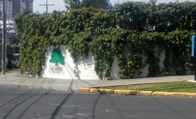 Foto de Aseguradora La Ceiba, S.A.