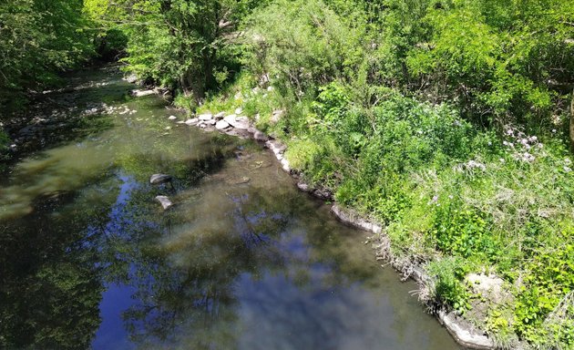 Photo of Taylor Creek Park