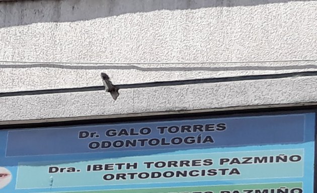 Foto de Dr. Galo Torres Odontología