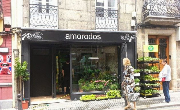 Foto de Amorodos