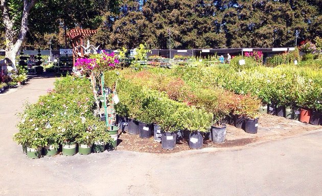 Photo of Central Wholesale Nursery
