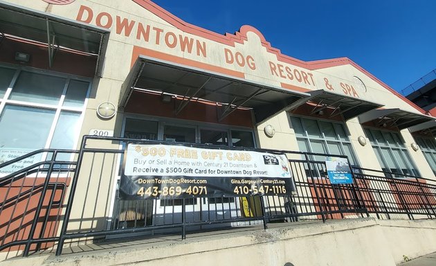 Photo of Downtown Dog Resort & Spa