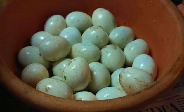 Photo of Satish Egg Rice Center