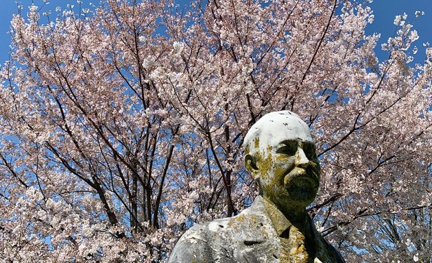 Photo of Elmwood Cemetery