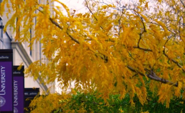 Photo of Niagara University in Ontario