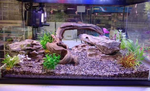 Photo of Blue Crystal Aquarium And Pet Shop