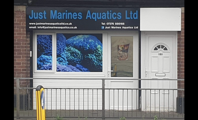 Photo of Just Marine Aquatics ltd