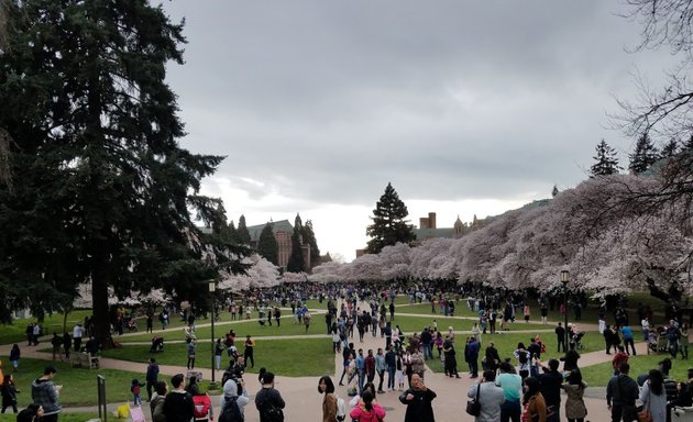 Photo of Miller Hall - UW College of Education