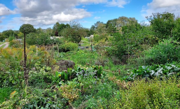 Photo of Marston Ferry Blackhall Allotment Society