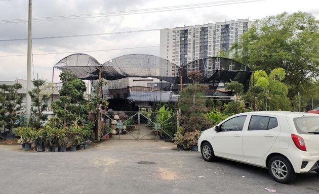 Photo of Kajang Nursery and Landscape