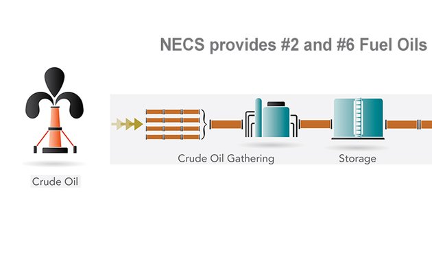 Photo of NECS Energy