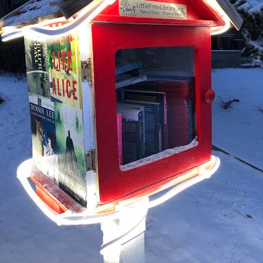 Photo of Little Free Library Charter #79304