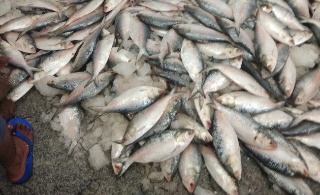 Photo of Fish Bucket Sea Food
