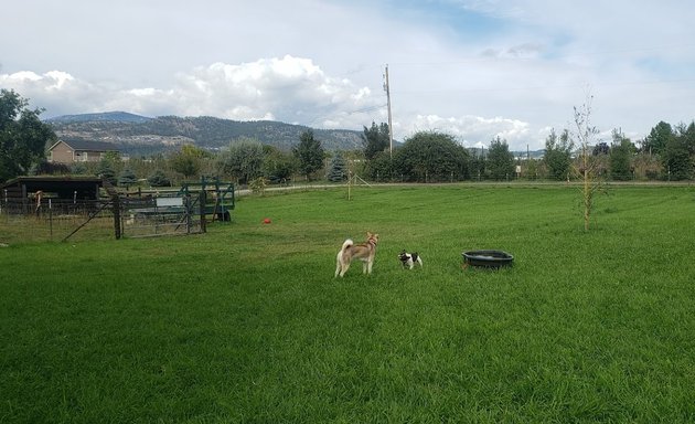 Photo of Wolfe Pack Dog Daycare