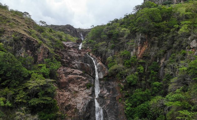 Foto de Visión Verde s.a