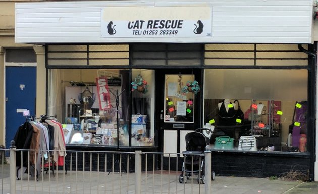Photo of Cat Rescue Charity Shop