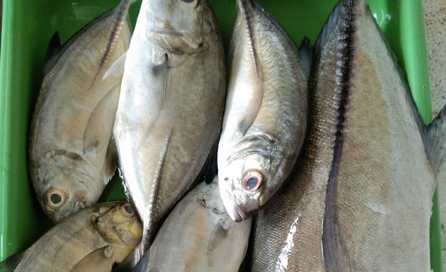 Photo of Sohayb's Fresh fish