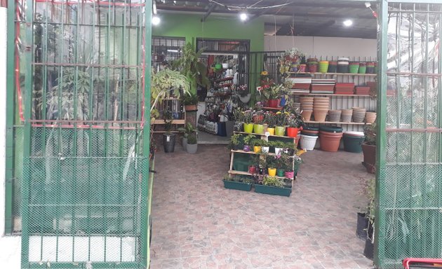 Foto de Tienda De Regalos Buceo