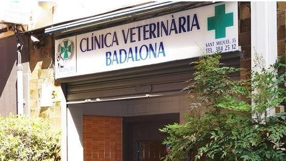 Foto de Clínica Veterinària Badalona