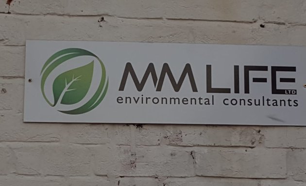 Photo of MM Life Limited