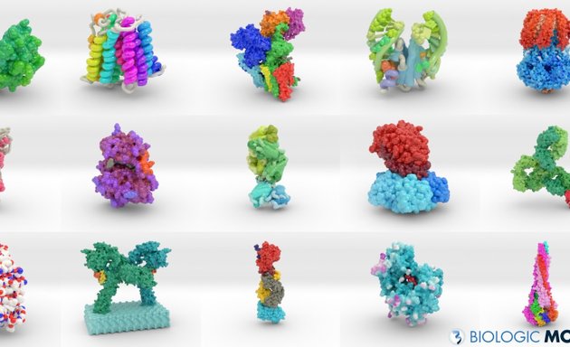 Photo of Biologic Models