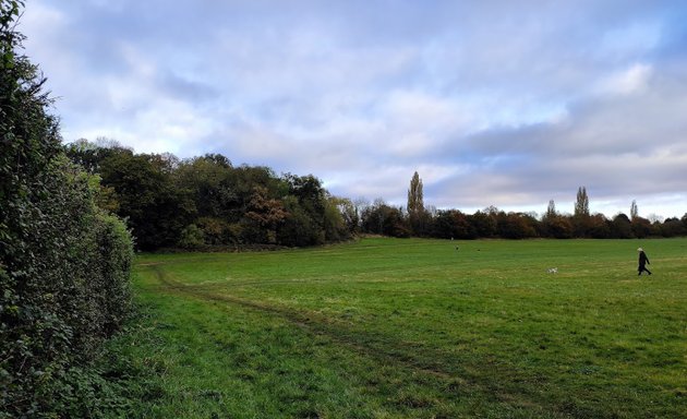 Photo of Lloyd Park