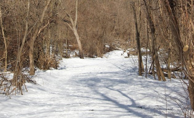 Photo of Berry Road Park