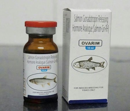Photo of Congruent Pharma